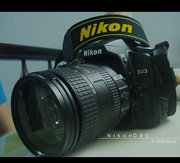 Nikon D90 12.3 MP Digital SLR Camera 